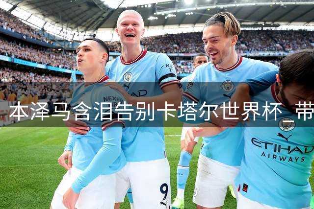 本泽马含泪告别卡塔尔世界杯 带伤退赛为团队让路