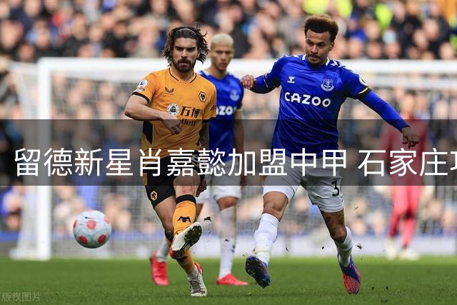 留德新星肖嘉懿加盟中甲 石家庄功夫签下21岁中场多面手