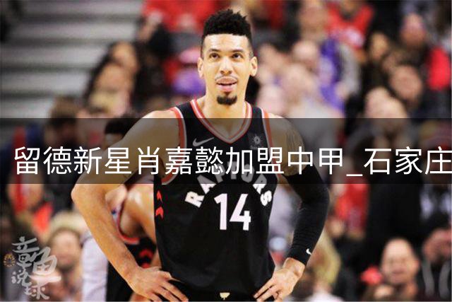 留德新星肖嘉懿加盟中甲 石家庄功夫签下21岁中场多面手